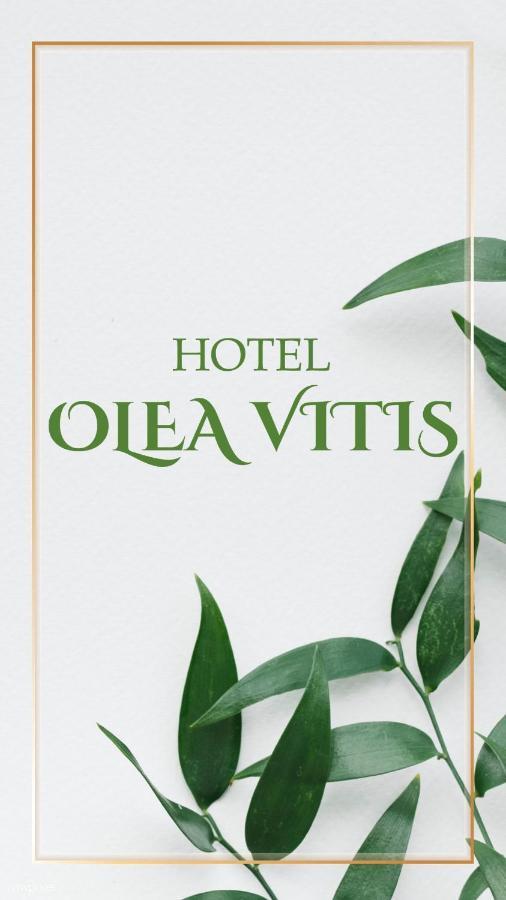 Hotel Olea Vitis Međugorje Exteriér fotografie